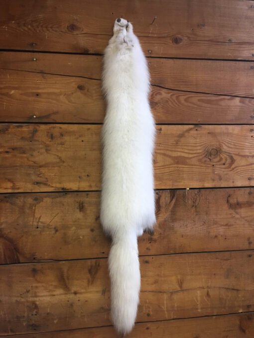 Arctic Fox Fur