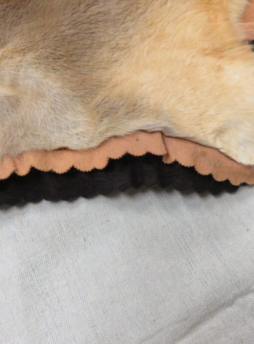 Australian Kangaroo Hide. X-119K