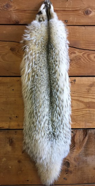 Badger Fur