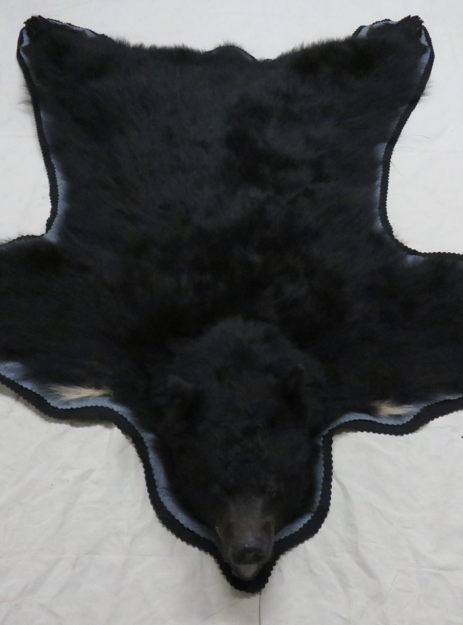 Black Bear Taxidermy Rug. BB-108