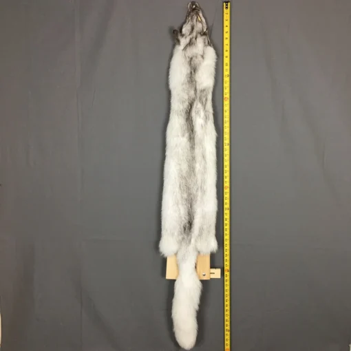 Blue Fox Fur