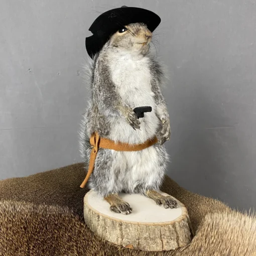 Cowboy Squirrel Taxidermy