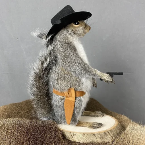 Cowboy Squirrel Taxidermy