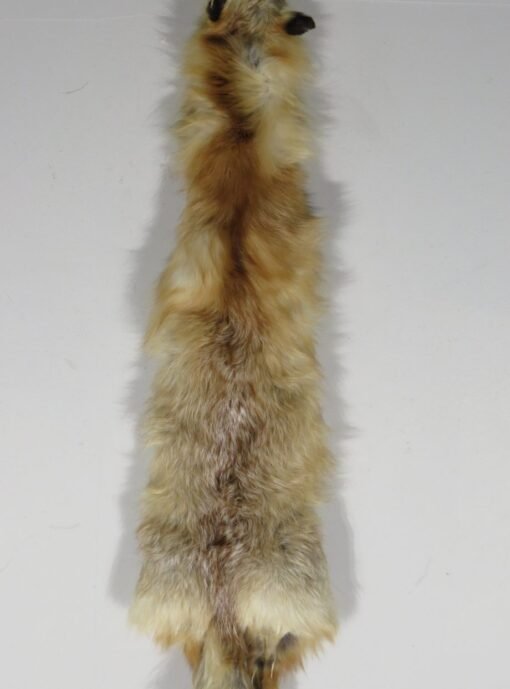 Fox Taxidermy Skin. P-114CF
