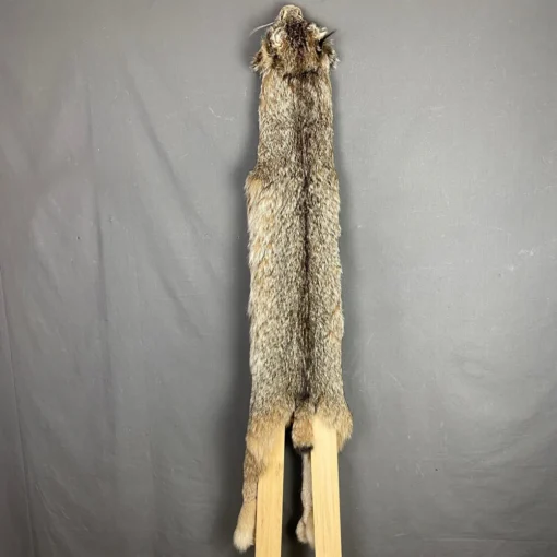 Lynx Hide