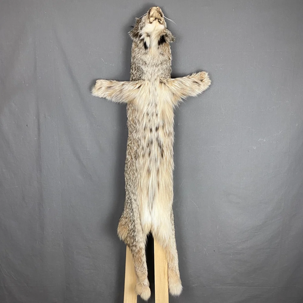 Lynx Hide