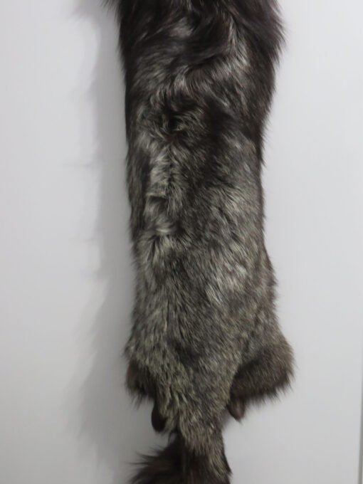 Silver (Black) Fox Taxidermy Skin. P-118SF