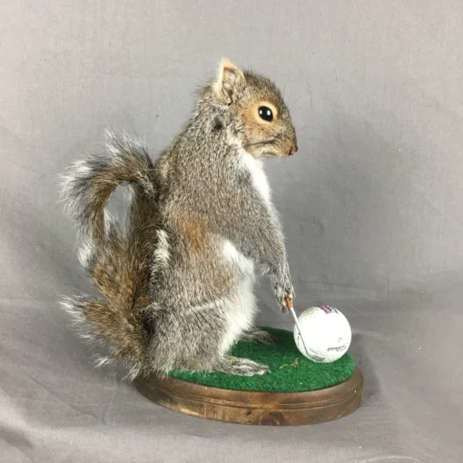 Squirrel Golfing Mount