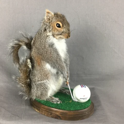 Squirrel Golfing Mount