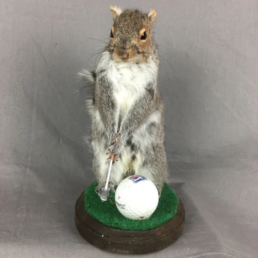 Squirrel Golfing Mount