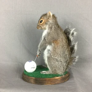 Squirrel Golfing Mount