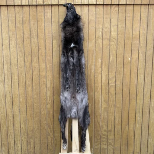 Timber Wolf Hide